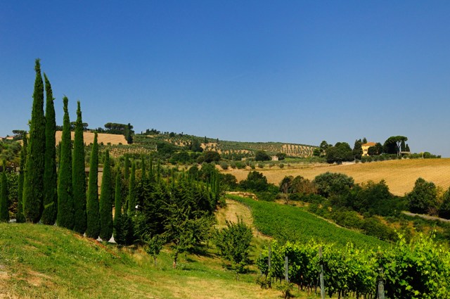 Region Chianti Castello Di Gabbiano